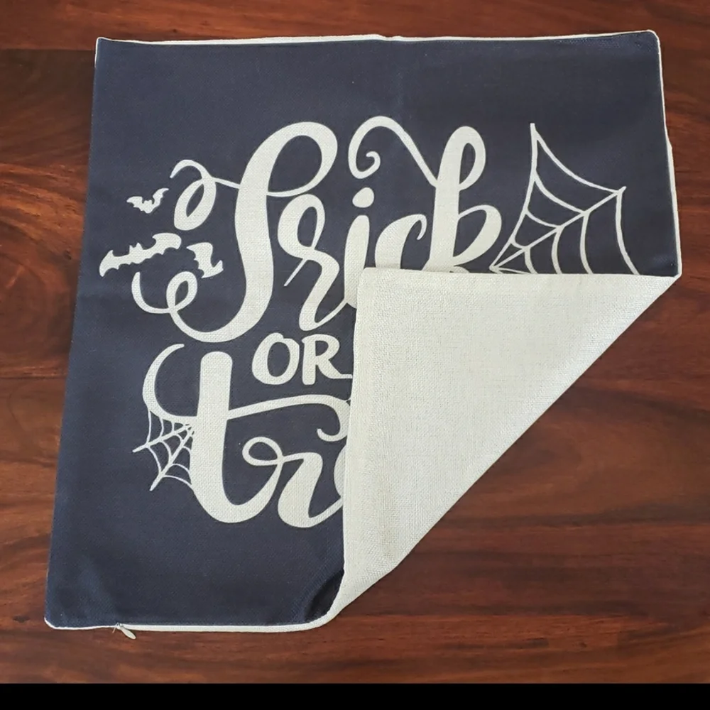 Halloween Pillow Cover • Black  & Ivory Spider Web Trick or Treat • 18 X 18